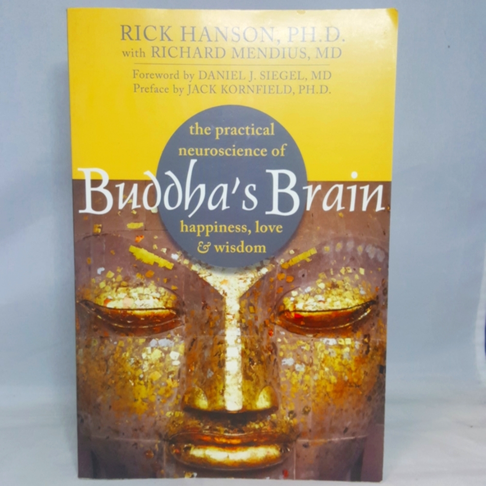 Buddha's Brain Happiness, Love & Wisdom by Rick Hanson PH.D.